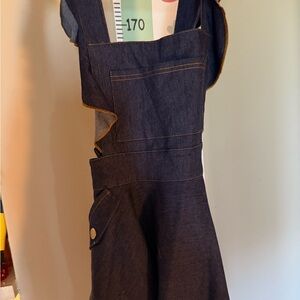 Unique Vintage Indigo Denim Overalls